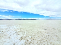 Bonneville Salt Flats 