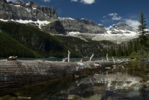 Boom Lake - Banff Alberta 