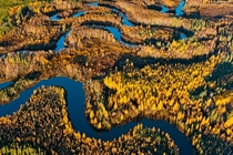 Boreal Forest and Wetland Athabasca Delta Albert 
