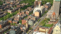 Boston Steeples Greens and Dizzying Charm 