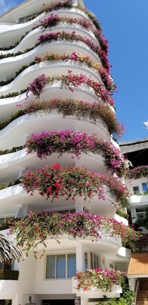 Bougainvillea draped balconies Grand Miramar Hotel Puerto Vallarta