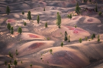 Bound by wild desire I fell into a ring of firePainted Dunes Lassen National Park CA 