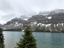 Bow Lake Banff National Park Alberta Canada 