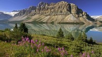 Bow Lake Banff Natl Park Canada 