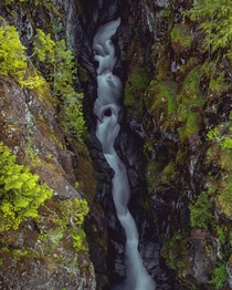 Box Canyon of the Cowlitz Mt Rainier National Park 