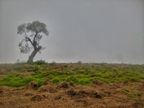 Braving The Fog Narok Kenya 
