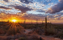 Brilliant Sunset Skies In Scottsdale Arizona 