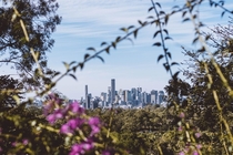 Brisbane Skyline from the Mt Coot-tha Botanical Gardens