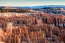 Bryce Amphitheater at Golden Hour by Anasuya Mandal 