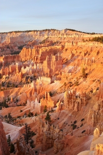 Bryce Canyon at Sunrise  x