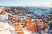 Bryce Canyon UT Glowing Under the Mornings First Light 