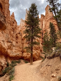 Bryce Canyon Utah 