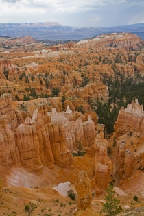 Bryce canyon Utah  by Tom Kelly