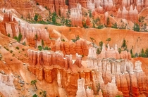 Bryce Canyon Utah I am still blown away by the color and the size of the hoodoos  OC