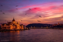 Budapest - one of the most beautiful moment hunting for  years - by Mark mervai 