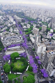 Buenos Aires during spring 