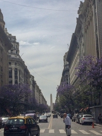 Buenos Aires in mid November