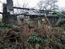 Building lost to nature in UK 