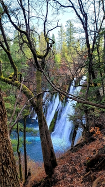 Burney Falls in California 