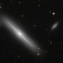 Busy bees - edge-on lenticular galaxy NGC  