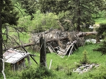 Cabin crushed by tree in Montana mountains