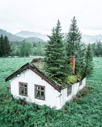 Cabin in Hemsedal Norway