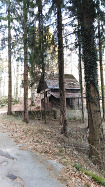 Cabin in the woods Croatia