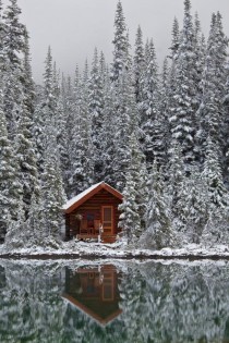 Cabin in the woods x x-post from rpics