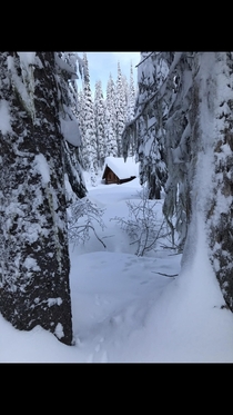 Cabin on a mountain in Rossland British Columbia Canada