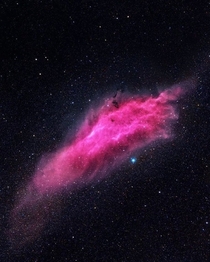California Nebula or NGC 