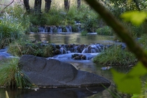Calm Creek in Tonto National Forest Arizona 
