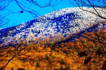 Camels Hump VT Where Fall ends and Winter begins 