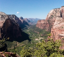 Canyon view from atop Angels Landing Zion National Park Utah USA 