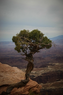 Canyonlands National Park UT USA 