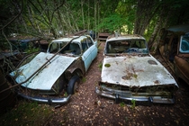 Car cemetery in Sweden near the Norwegian border photo by me 