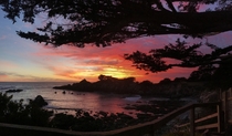 Carmel California at sunset OC