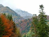 Carpathian Mountains Romania  x