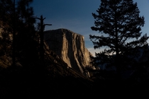 Catching the sun on El Cap - Yosemite Valley CA 