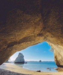Cathedral Cove NZ  x