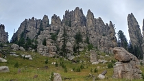 Cathedral Spires Custer State Park South Dakota 