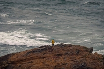 Caught a shot of a guy fishing off of a massive bolder along the the Pacific coast line 