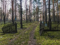 Cemetery in the Chernobyl Zone
