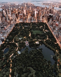 Central Park at dusk