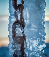 Chain Frozen in Ice   x 