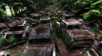 Chatillion Car Graveyard 