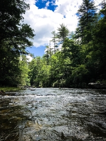 Chattooga River 