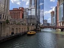 Chicago IL USA - River Taxi in July