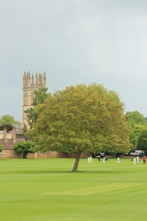 Children playing cricket Oxford UK 