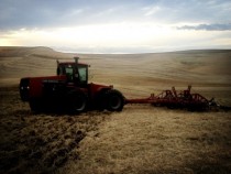 Chiseling wheat stubble in the Palouse  OC