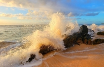 Chonky waves Bonsai Beach Oahu Hawaii 